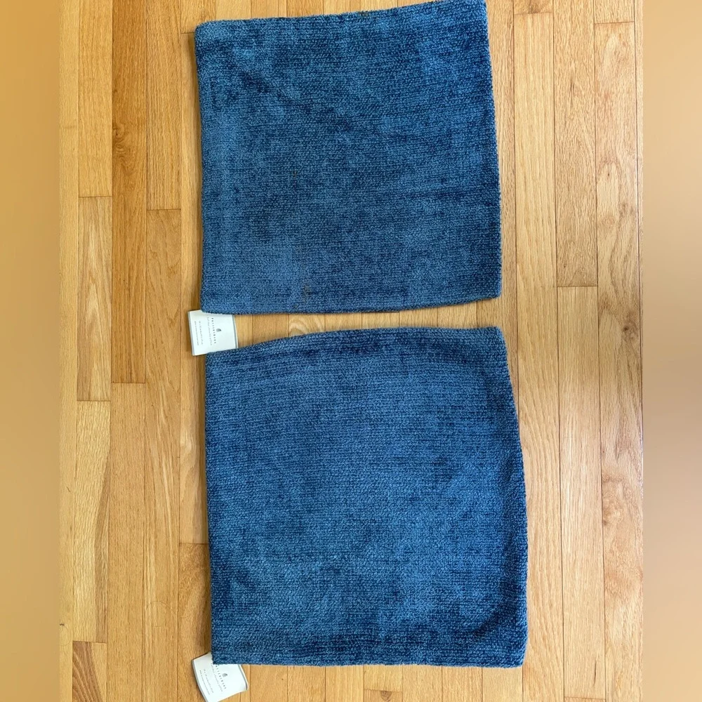 Pottery Barn Chenille 2 Pillow Cases size 18x18 inches